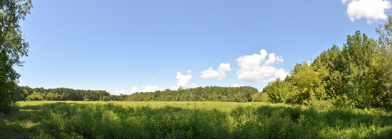 Öregerdő