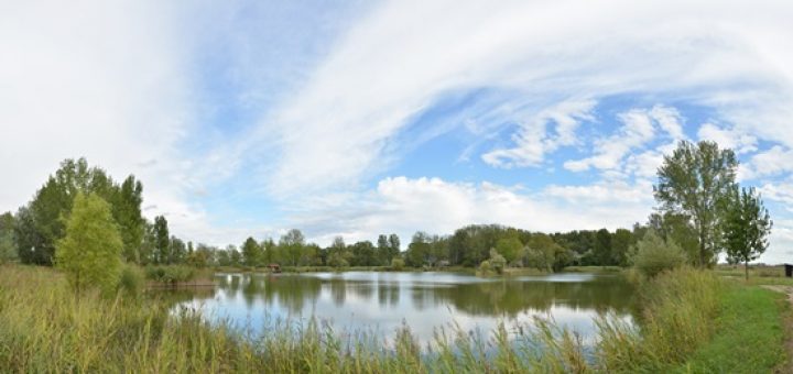 Horgásztavak