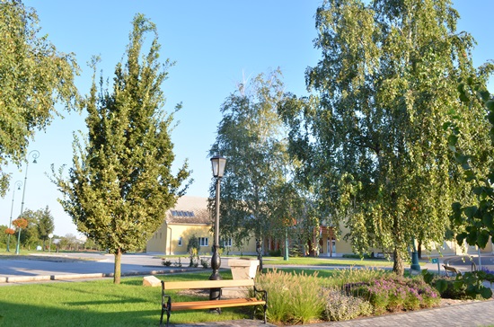 Tanítók Fája
